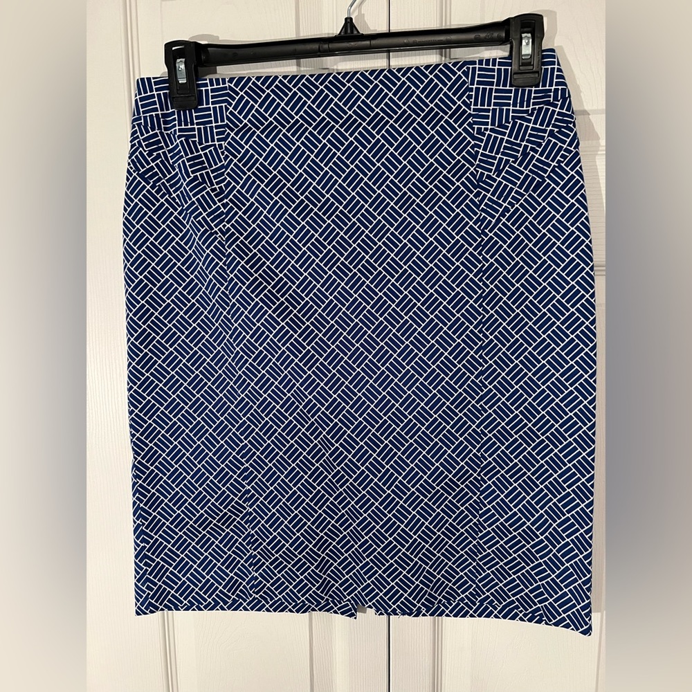 New York and Co skirt